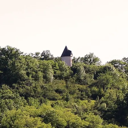 Villa Moulin De Rouze Castelnaud-de-Gratecambe Exterior foto